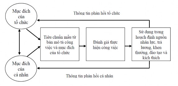 Nguồn Trần Kim Dung 2006 238 Hình 1 10 Hệ thống đánh giá năng lực thực hiện 5