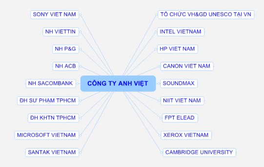 Nguồn Công ty TNNN Tin học Anh Việt 2007 5 Hình 2 2 Sơ đồ các đối tác kinh doanh 2