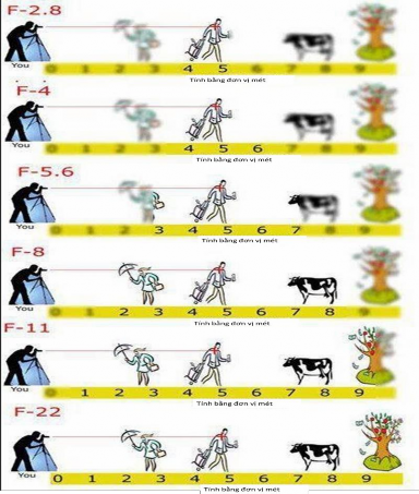 Hình 1 9 Mối quan hệ giữa khẩu độ và độ sâu trường ảnh 1 1 2 Máy ảnh Máy 4