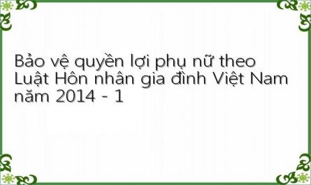 Bảo vệ quyền lợi phụ nữ theo Luật Hôn nhân gia đình Việt Nam năm 2014 - 1