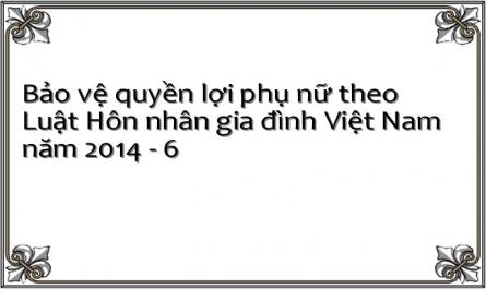 Bảo vệ quyền lợi phụ nữ theo Luật Hôn nhân gia đình Việt Nam năm 2014 - 6