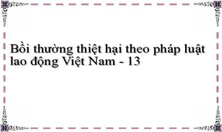 Bồi thường thiệt hại theo pháp luật lao động Việt Nam - 13