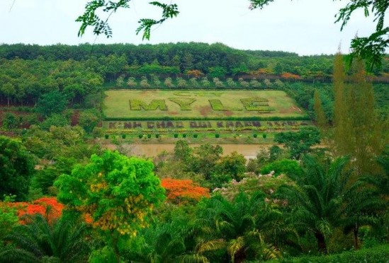 Hình 2 2 Hồ bơi trong KDL Hình 2 3 Tượng Phật Di Lặc Hình 2 4 Công nhân đang hái 2