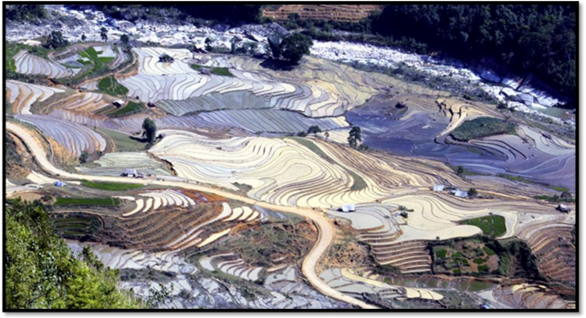 Hình 03 Vẻ đẹp ruộng bậc thang ở Y Tý Lào Cai Hình 04 Mù Cang Chải mùa lúa 3