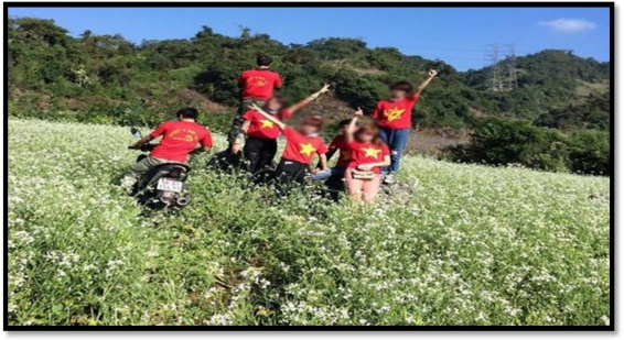 Hình 07 Chạy xe thẳng vào cánh đồng hoa Hình 08 Và để lại rác trên những 8