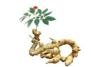 Tài liệu lưu hành nội bộ Tp HCM 07 2020 MỤC LỤC Đại cương về Y học cổ 2