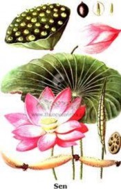 Tp Hồ Chí Minh tháng 10 năm 2020 TÀI LIỆU LƯU HÀNH NỘI BỘ GIÁO TRÌNH THỰC HÀNH 2