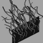 Hình 1 6 Mô phỏng sợi tóc theo Anna Sokol Các nhóm tác giả House and Breen 7 Baraff and 8