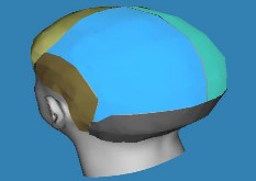 Hình 2 1 Phân chia mô hình da đầu 3D thành 6 vùng 2 1 3 Ánh xạ các ảnh sợi 2D lên 2