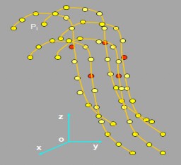 NURBS ở công thức 2 8 NURBS ở công thức 2 11 Hình 2 13 Miền ảnh hưởng của các 5