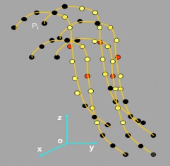 NURBS ở công thức 2 8 NURBS ở công thức 2 11 Hình 2 13 Miền ảnh hưởng của các 6