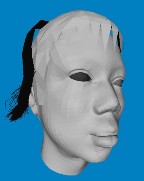 a Bó tóc với 7 sợi b Bó tóc với 450 sợi c Bó tóc với 750 sợi Hình 3 6 Bó tóc 15