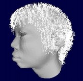 Hình 3 7 Hai kiểu tóc màu trắng và đen xoắn cùng với gió thổi Ngoài ra khi thêm 17