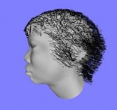 Hình 3 7 Hai kiểu tóc màu trắng và đen xoắn cùng với gió thổi Ngoài ra khi thêm 18