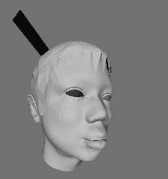 a 10 000 sợi tóc độ lớn 1 0 b 50 sợi tóc độ lớn 1 0 Hình 3 15 Một số mô hình 20