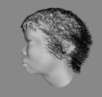 a Có 10 000 sợi tóc trọng lực 15 0 độ lớn 1 0 số điểm điều khiển 4 độ 22