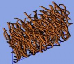 Hình 3 14 Tóc Messy trên plain trong một khung viền với bề mặt NURBS xoắn Hình 3 15 4