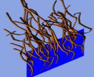 Hình 3 16 Tóc dài messy trên plain với bề mặt NURBS xoắn Hình 3 17 Sợi ngắn cong 6