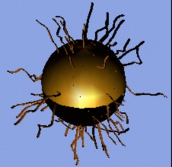 Hình 3 17 Sợi ngắn cong trên sphere với bề mặt NURBS xoắn 3 4 Phân tích kết quả 7