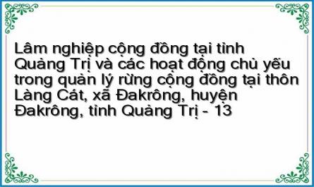 Lâm nghiệp cộng đồng tại tỉnh Quảng Trị và các hoạt động chủ yếu trong quản lý rừng cộng đồng tại thôn Làng Cát, xã Đakrông, huyện Đakrông, tỉnh Quảng Trị - 13