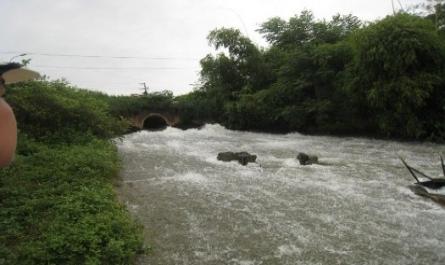 Đánh giá thực trạng và đề xuất giải pháp bảo vệ tài nguyên nước sông Thương trên địa bàn tỉnh Bắc Giang - 15