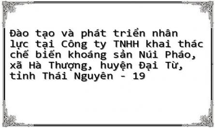 Đào tạo và phát triển nhân lực tại Công ty TNHH khai thác chế biến khoáng sản Núi Pháo, xã Hà Thượng, huyện Đại Từ, tỉnh Thái Nguyên - 19