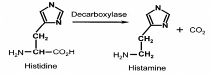 Hình 1 9 Phản ứng histidine bị bị vi sinh vật khử nhóm cacboxyl hình thành độc 4