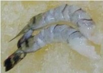 1 4 Xanh đầu Trước khi luộc chín Sau khi luộc chín 1 5 Xanh ở phần thịt 8