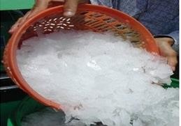 Hình 2 1 Đá vảy Có hai phương pháp ướp đá nguyên liệu Ướp đá trực tiếp 1