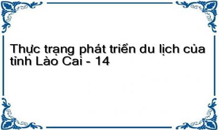 Thực trạng phát triển du lịch của tỉnh Lào Cai - 14