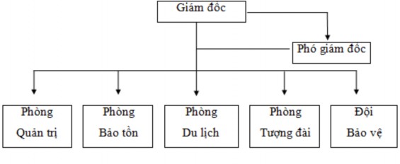 Hình 3 1 S đồ bộ máy tổ chức Nguồn Trung tâm quản lý khu Du lịch Di tích đền 1