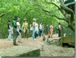 Đến khu du lịch Lâm Viên Cần Giờ du khách sẽ nhìn thấy các loài động vật 3