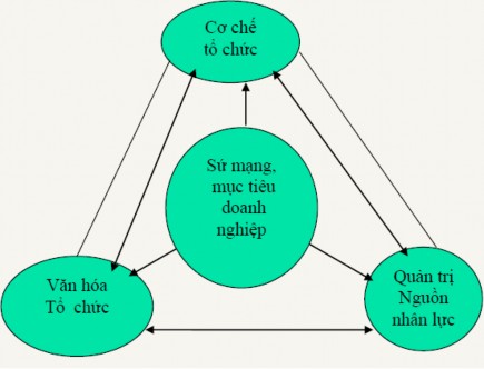 Hình 1 2 Quản trị nhân lực và các yếu tố môi trường Nguồn Trần Kim Dung 2009 1