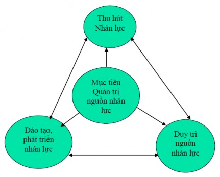 Hình 1 3 Các yếu tố thành phần chức năng của quản trị nguồn nhân lực Nguồn 2