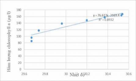 Giữa Thành Phần Dinh Dưỡng Trong Nước Và Hàm Lượng Chlorophyll A