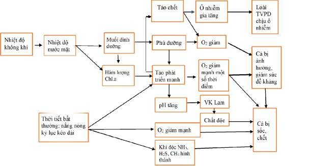 Hình 3 31 Sơ đồ mối quan hệ giữa nhiệt độ đến sinh trường của cá Theo 7