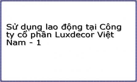 Sử dụng lao động tại Công ty cổ phần Luxdecor Việt Nam - 1