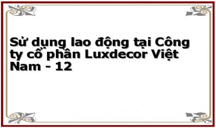 Đánh Giá Về Mối Quan Hệ Trong Tập Thể Công Ty Cổ Phần Luxdecor Việt Nam
