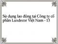 Mục Tiêu Và Phương Hướng Nâng Cao Hiệu Quả Sử Dụng Lao Động Tại Công Ty Cổ Phần Luxdecor Việt Nam
