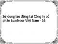 Sử dụng lao động tại Công ty cổ phần Luxdecor Việt Nam - 16