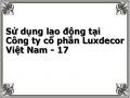 Sử dụng lao động tại Công ty cổ phần Luxdecor Việt Nam - 17