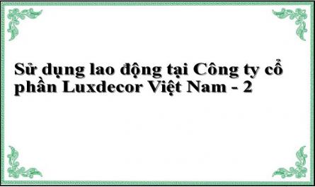 Sử dụng lao động tại Công ty cổ phần Luxdecor Việt Nam - 2