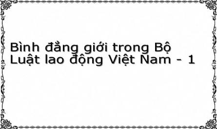 Bình đẳng giới trong Bộ Luật lao động Việt Nam - 1