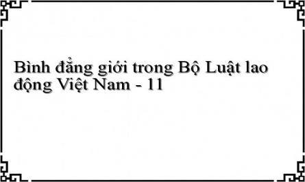 Bình đẳng giới trong Bộ Luật lao động Việt Nam - 11