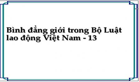 Bình đẳng giới trong Bộ Luật lao động Việt Nam - 13