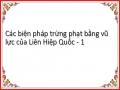 Các biện pháp trừng phạt bằng vũ lực của Liên Hiệp Quốc - 1