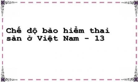 Chế độ bảo hiểm thai sản ở Việt Nam - 13
