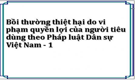 Bồi thường thiệt hại do vi phạm quyền lợi của người tiêu dùng theo Pháp luật Dân sự Việt Nam - 1