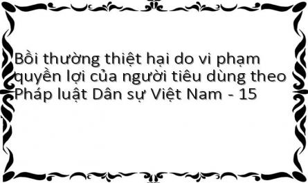 Bồi thường thiệt hại do vi phạm quyền lợi của người tiêu dùng theo Pháp luật Dân sự Việt Nam - 15