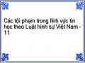Các tội phạm trong lĩnh vực tin học theo Luật hình sự Việt Nam - 11
